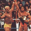 WrestleMania VI: Hogan vs. Warrior