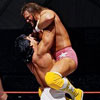 WrestleMania III: Savage vs. Steamboat