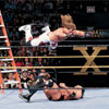 WrestleMania X: Ladder Match