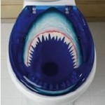 Circumcision By Toilet Seat