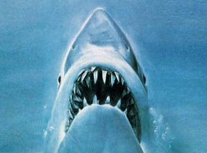 Bruce The Shark