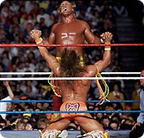 Warrior Blows Hogan
