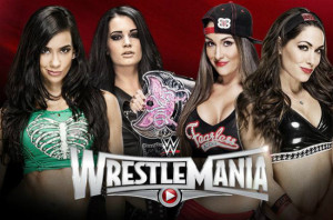 WrestleMania 31 - AJ Lee & Paige Vs The Bella Twins